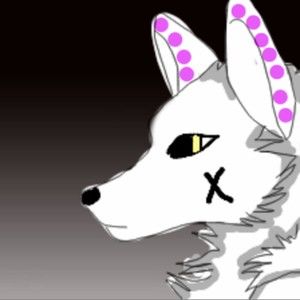 Meet your Posher, Abigail